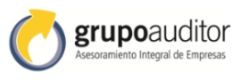 Grupo Auditor